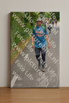 Evenement foto: Nijmeegse Vierdaagse 948