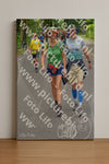 Evenement foto: Nijmeegse Vierdaagse 948