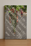 Evenement foto: Nijmeegse Vierdaagse 948