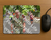 Evenement foto: Nijmeegse Vierdaagse 948