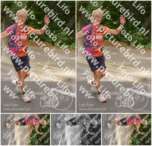 Evenement foto: Nijmeegse Vierdaagse 948