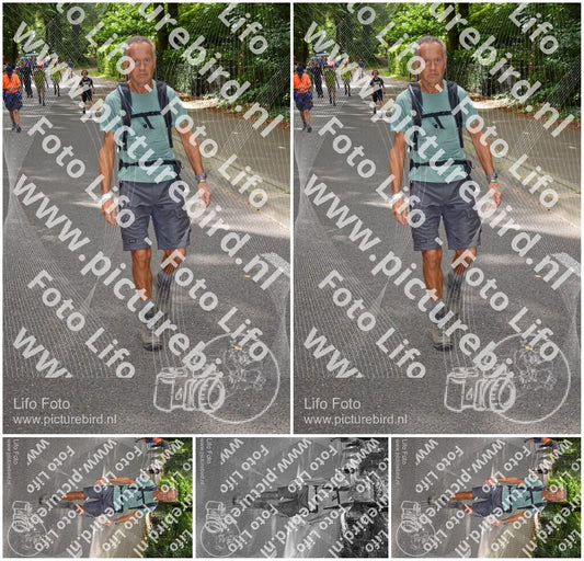 Evenement foto: Nijmeegse Vierdaagse 948