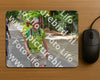 Evenement foto: Nijmeegse Vierdaagse 948