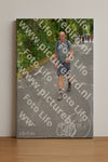 Evenement foto: Nijmeegse Vierdaagse 948