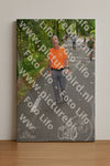 Evenement foto: Nijmeegse Vierdaagse 947