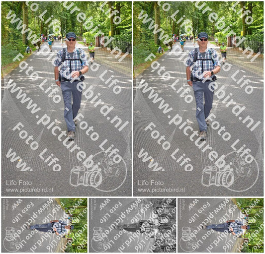 Evenement foto: Nijmeegse Vierdaagse 947