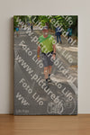 Evenement foto: Nijmeegse Vierdaagse 947