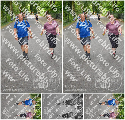 Evenement foto: Nijmeegse Vierdaagse 947