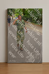 Evenement foto: Nijmeegse Vierdaagse 947