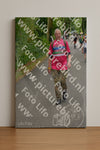 Evenement foto: Nijmeegse Vierdaagse 947