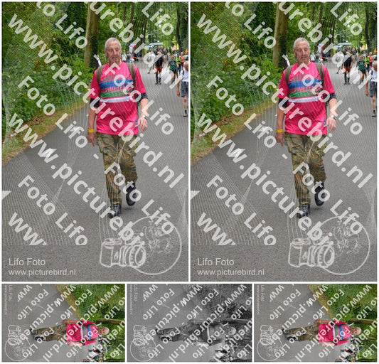 Evenement foto: Nijmeegse Vierdaagse 947