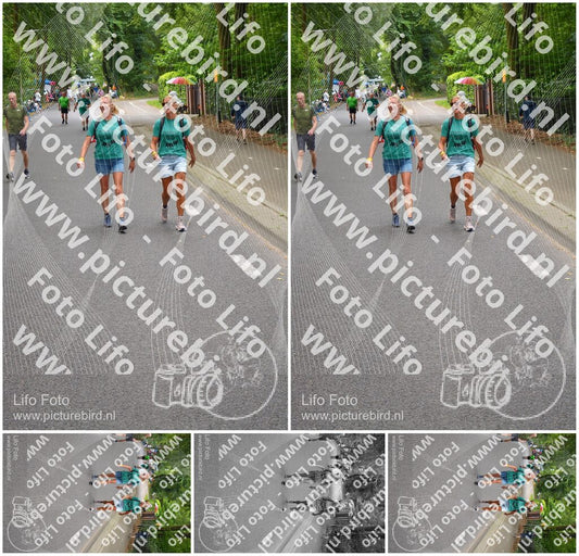 Evenement foto: Nijmeegse Vierdaagse 947