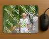 Evenement foto: Nijmeegse Vierdaagse 947