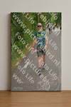 Evenement foto: Nijmeegse Vierdaagse 947
