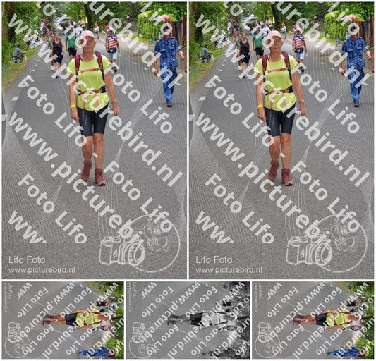 Evenement foto: Nijmeegse Vierdaagse 947