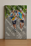 Evenement foto: Nijmeegse Vierdaagse 947