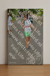 Evenement foto: Nijmeegse Vierdaagse 947