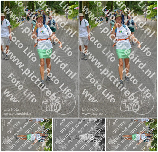 Evenement foto: Nijmeegse Vierdaagse 947