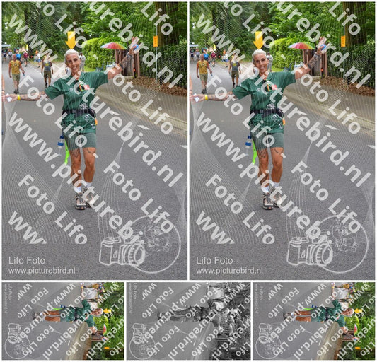 Evenement foto: Nijmeegse Vierdaagse 947