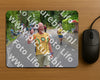 Evenement foto: Nijmeegse Vierdaagse 947