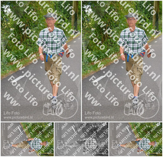 Evenement foto: Nijmeegse Vierdaagse 947