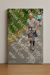 Evenement foto: Nijmeegse Vierdaagse 947