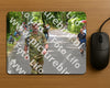 Evenement foto: Nijmeegse Vierdaagse 947