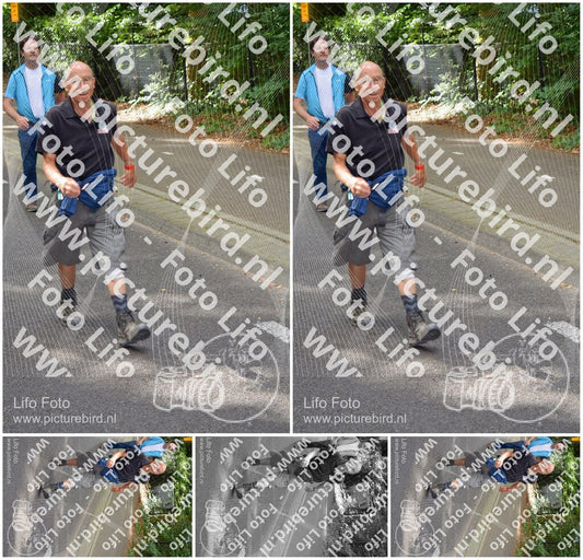 Evenement foto: Nijmeegse Vierdaagse 947
