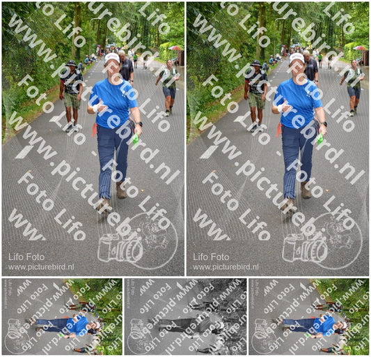 Evenement foto: Nijmeegse Vierdaagse 947
