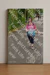 Evenement foto: Nijmeegse Vierdaagse 946