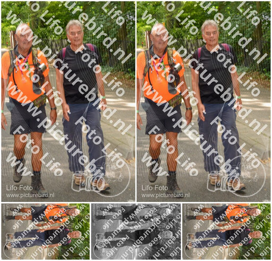 Evenement foto: Nijmeegse Vierdaagse 946