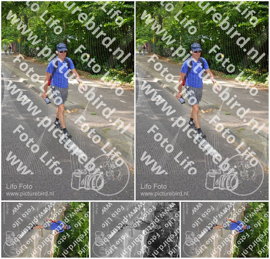 Evenement foto: Nijmeegse Vierdaagse 946