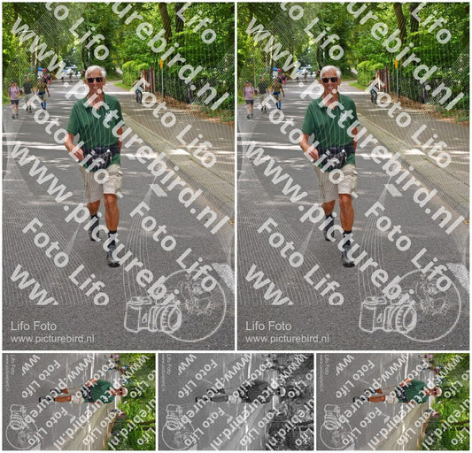Evenement foto: Nijmeegse Vierdaagse 946