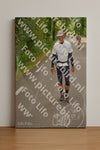Evenement foto: Nijmeegse Vierdaagse 946