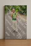 Evenement foto: Nijmeegse Vierdaagse 946