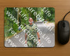 Evenement foto: Nijmeegse Vierdaagse 946