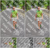Evenement foto: Nijmeegse Vierdaagse 946