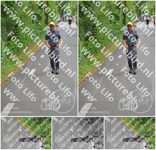 Evenement foto: Nijmeegse Vierdaagse 946