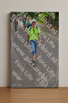 Evenement foto: Nijmeegse Vierdaagse 946