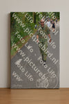 Evenement foto: Nijmeegse Vierdaagse 946