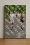 Evenement foto: Nijmeegse Vierdaagse 946