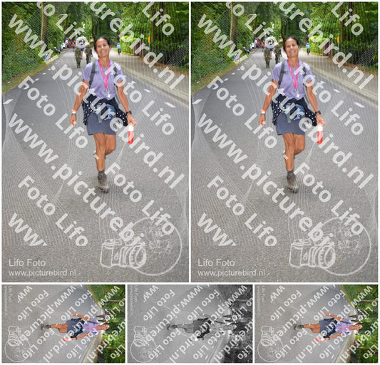 Evenement foto: Nijmeegse Vierdaagse 946