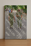 Evenement foto: Nijmeegse Vierdaagse 946