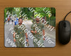 Evenement foto: Nijmeegse Vierdaagse 946