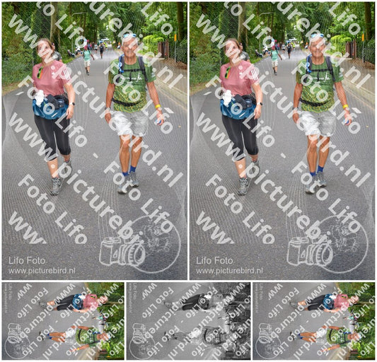 Evenement foto: Nijmeegse Vierdaagse 946