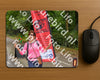 Evenement foto: Nijmeegse Vierdaagse 945