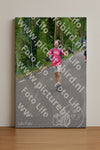 Evenement foto: Nijmeegse Vierdaagse 945