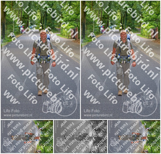 Evenement foto: Nijmeegse Vierdaagse 945
