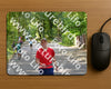 Evenement foto: Nijmeegse Vierdaagse 945