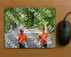 Evenement foto: Nijmeegse Vierdaagse 945